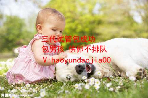 哪里有靠谱的供卵试管机构_关于供卵的法律法规_2020年北京代孕_代孕付款方式