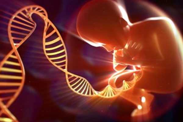 太原借卵代生男孩_泰国试管婴儿移植几个胚胎？移植后的注意事项